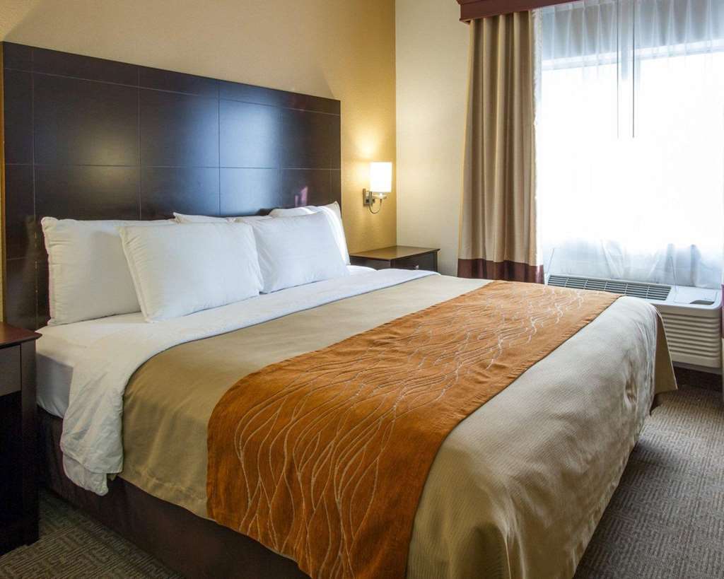 Comfort Inn & Suites Paw Paw Værelse billede
